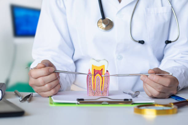 Best Emergency Tooth Extraction in Old Mystic, CT